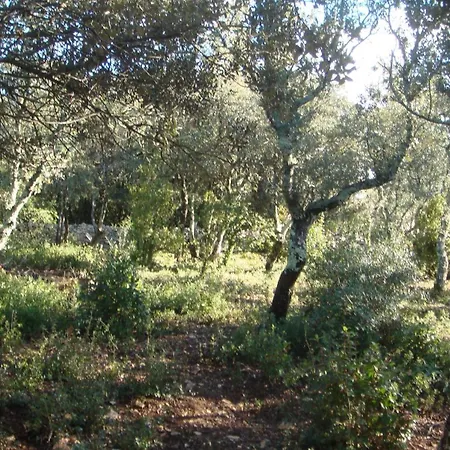 Σπίτι διακοπών Maison Independante En Lisiere De Garrigue Parignargues