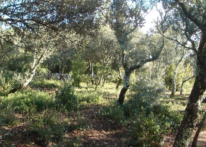 Σπίτι διακοπών Maison Independante En Lisiere De Garrigue Parignargues
